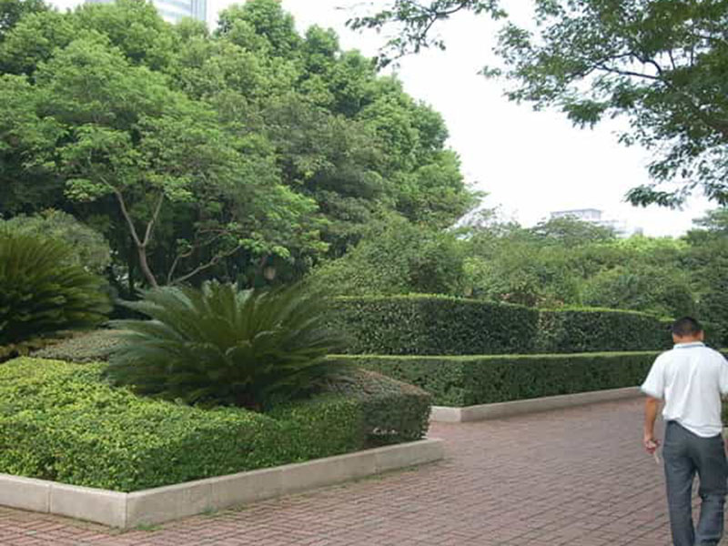 市政綠化養(yǎng)護服務(wù)